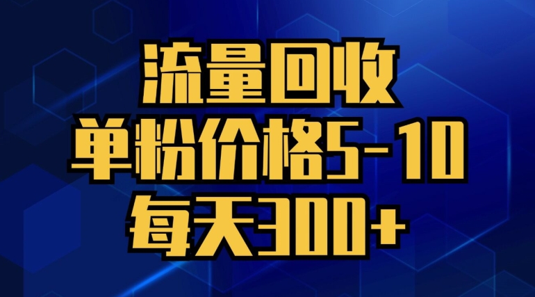 (99)流量回收，单粉价格5-10，每天300+，轻松月入五位数-创业网宝藏库