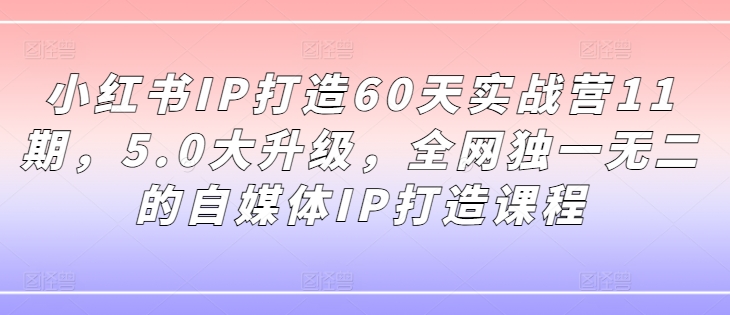 (95)小红书IP打造60天实战营11期，5.0大升级，全网独一无二的自媒体IP打造课程-创业网宝藏库