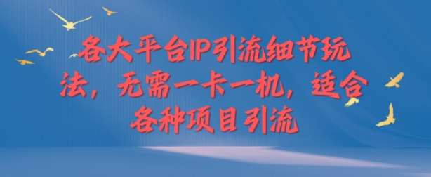 (111)各大平台IP引流细节玩法，无需一卡一机，适合各种项目引流-创业网宝藏库