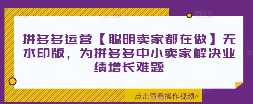 （251）.拼多多运营【聪明卖家都在做】无水印版，为拼多多中小卖家解决业绩增长难题-创业网宝藏库