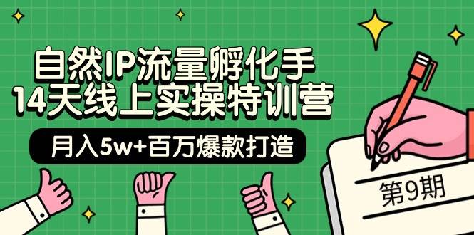 (239).自然IP流量孵化手 14天线上实操特训营【第9期】月入5w+百万爆款打造 (74节)-创业网宝藏库