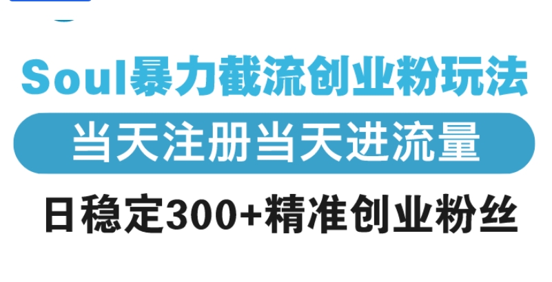 （740.网创教程）Soul暴力截流创业粉玩法，当天注册当天进流量，日稳定300+精准创业粉丝-创业网宝藏库