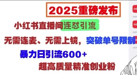 （742.网创教程）2025重磅发布：小红书直播间连怼引流，无需连麦、无需上镜，突破单号限制，暴力日引流600+超高质量精准创业粉-创业网宝藏库