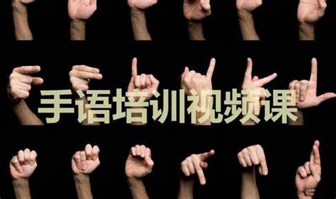 （864.学习提升）手语培训专业级教程 机构付费课程 通用标准手语教学-创业网宝藏库