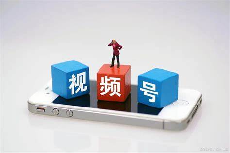 （904.网创教程）视频号0-1实操流程，视频号流量来源、视频号直播间人货场、视频号运营与搭建等-创业网宝藏库
