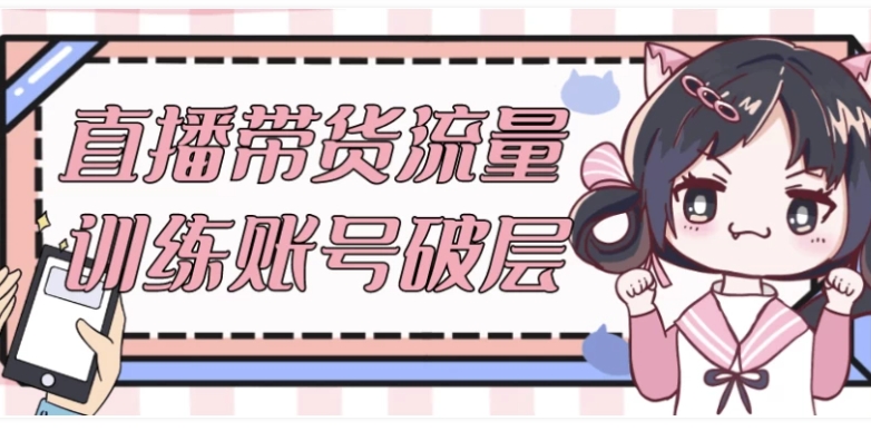 (953.网创教程)直播带货流量训练账号破层-创业网宝藏库
