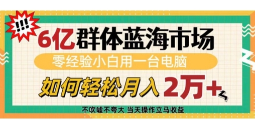 （1112.网创教程）6亿群体蓝海市场，零经验小白用一台电脑，如何轻松月入过w【揭秘】-创业网宝藏库