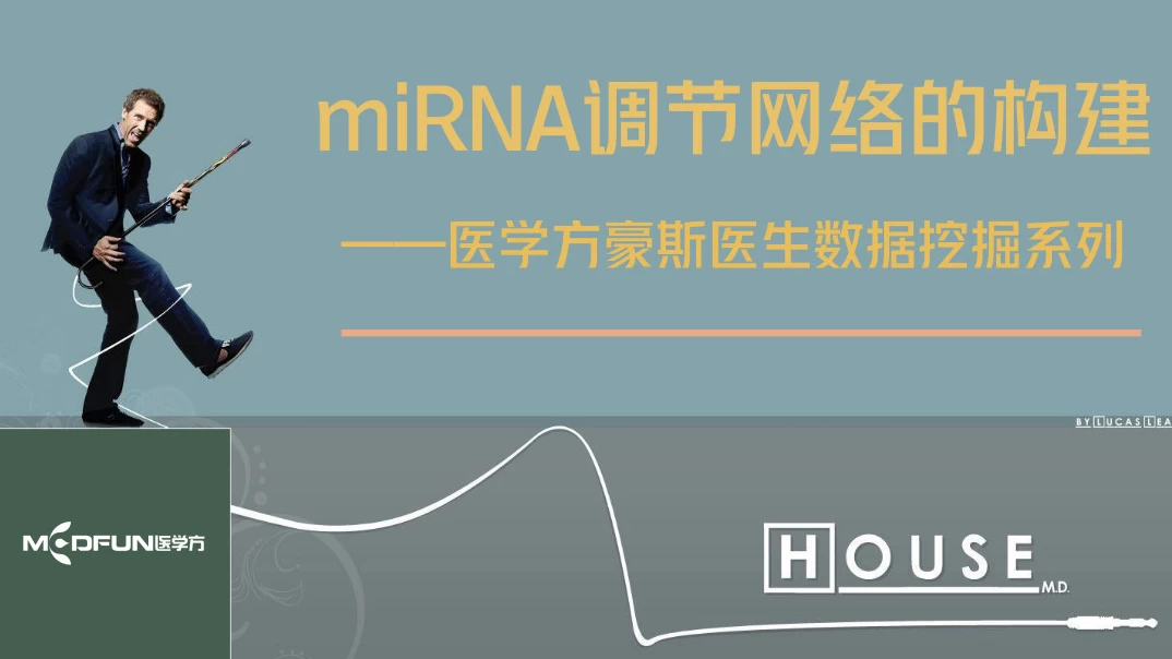 （391.学习提升）数据挖掘—miRNA调节网络的构建-创业网宝藏库