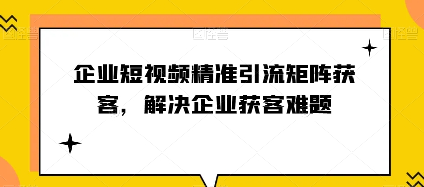 （1121.网创教程）企业短视频精准引流矩阵获客，解决企业获客难题-创业网宝藏库
