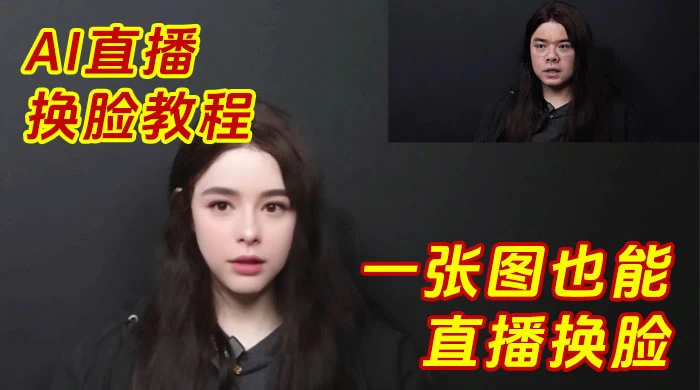 （783.电脑软件）AI 直播换脸教程，一张图也能直播换脸，deepfacelive AI 换脸教学-创业网宝藏库