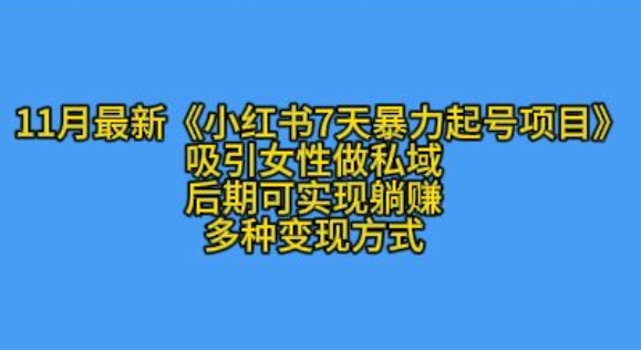 298.K总部落11月最新小红书7天暴力起号项目，吸引女性做私域【揭秘】-创业网宝藏库