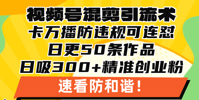420.视频号混剪引流技术，500万播放引流17000创业粉，操作简单当天学会-创业网宝藏库