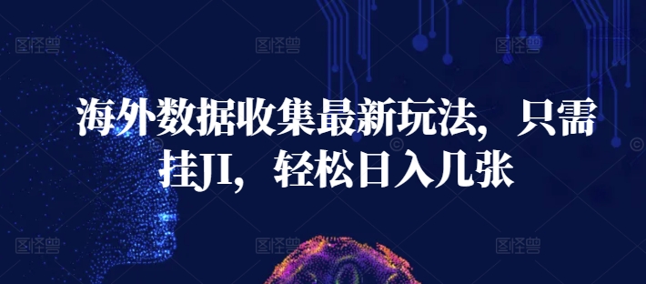 455.海外数据收集最新玩法，只需挂JI，轻松日入几张-创业网宝藏库