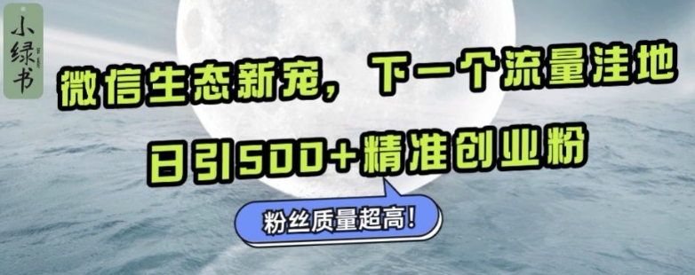 428.微信生态新宠小绿书：下一个流量洼地，日引500+精准创业粉，粉丝质量超高-创业网宝藏库